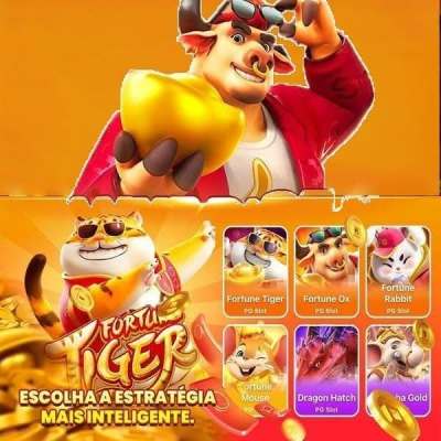 pxxbet .com